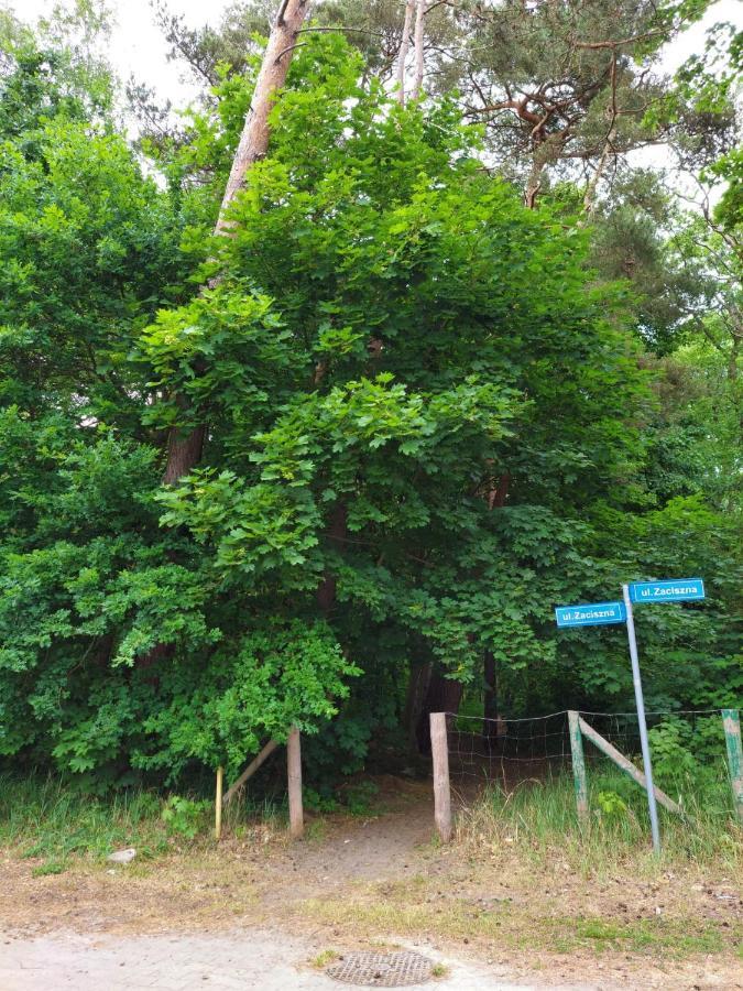 מידז'יוודז'י Apartament Alicja מראה חיצוני תמונה